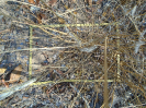 BA_1225_F9_2_2
