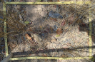 BA_1225_F9_4_2