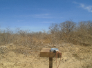BA_1230_F3_pan