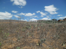 BA_1245_3_1559