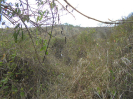 BA_1249_4_765