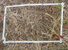 BA_1249_4_767d