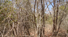 BA_1271_2_3625