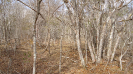 BA_1271_4_3635