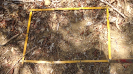 BA_1271_4_3637d