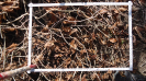 BA_1272_3_14c