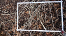 BA_1272_3_15d