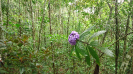 BA_1273_3_4013