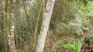 BA_1273_4_4085
