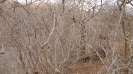 BA_1292_4_3671