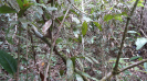BA_1294_0_66