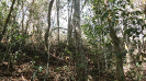 BA_1294_2_81