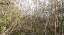 BA_1294_3_87