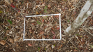 BA_1294_3_88a