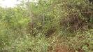 BA_1296_0_3410