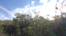 BA_1305_4_4107