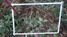 BA_1334_3_289d