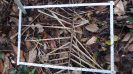 BA_1336_1_138a