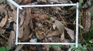 BA_1336_3_136d