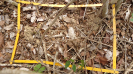 BA_1338_4_3916b