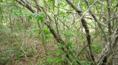 BA_1339_3_4064