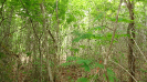 BA_1339_4_4049