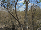 BA_1344_1_471