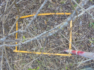 BA_1344_4_465a