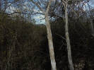 BA_1344_4_467