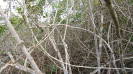 BA_1351_3_4000