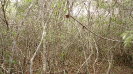 BA_1351_4_3983