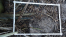 BA_1363_3_13c