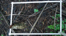 BA_1363_3_14d