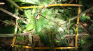 BA_1392_1_4211a