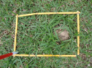 BA_1408_2_217c