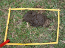 BA_1417_3_133b