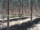 BA_1434_3_0054