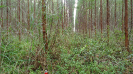 BA_1441_01_07