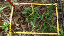 BA_1441_01_11c