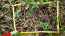 BA_1441_02_15b