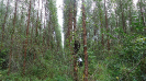 BA_1441_0_05