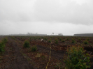 BA_1445_2_285