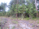 BA_1445_3_291