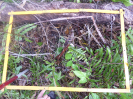 BA_1445_4_298b