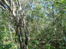 BA_272_F5_1