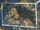 BA_345_F5
