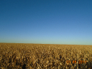 BA_345_F5_2