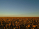 BA_345_F5_3