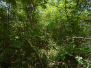BA_352_F5_1
