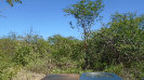 BA_406_F3_pan